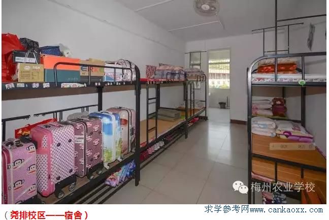 广州省梅州农业学校